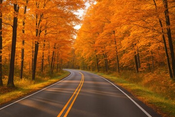 Fototapeta premium Autumnal journey along a forest pathway