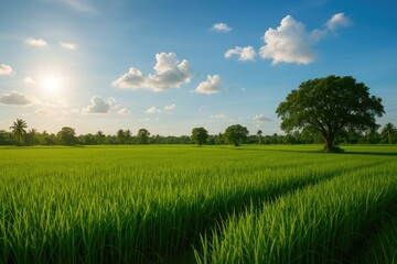Lush green paddies under a vast sky with tall trees and abundant fertility