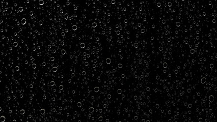 Water Droplets on Dark Background