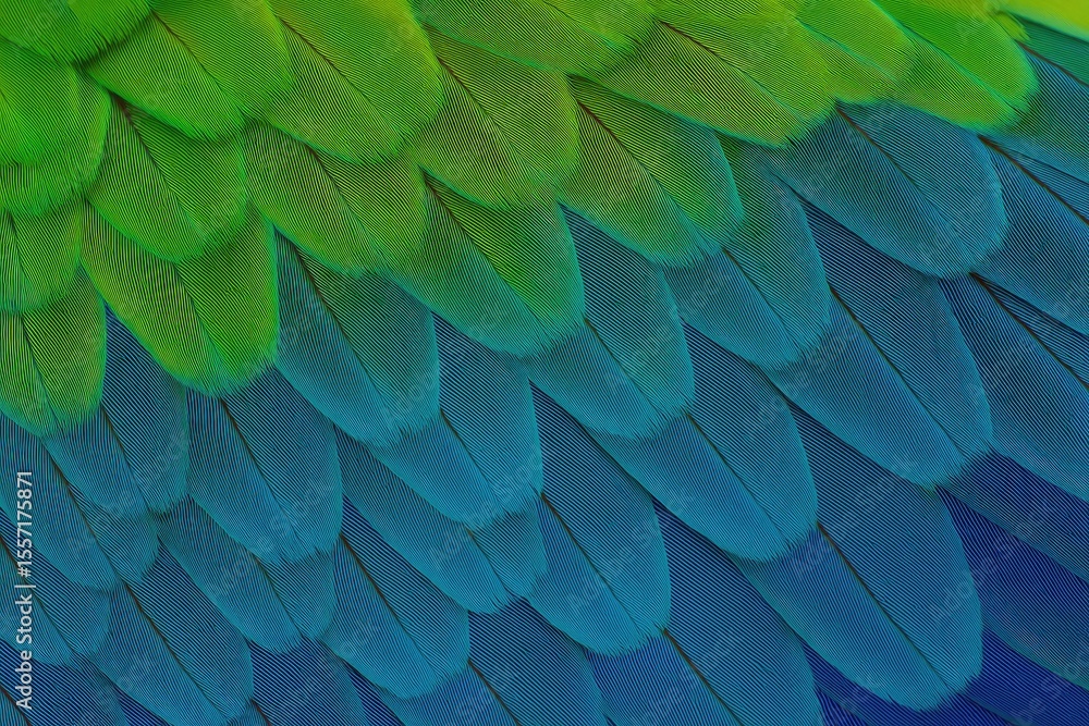 Poster detailed close-up of vibrant parrot feathers showcasing intricate patterns in a colorful background