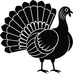 Side View Vector of Black Turkey with Detailed Feathers