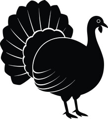 Thanksgiving Turkey Silhouette with Tail Displayed