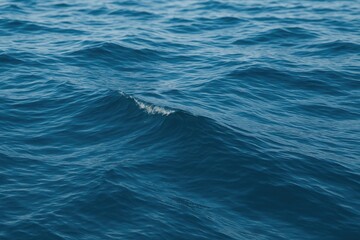 Fototapeta premium Oceanic wave pattern as a sea water backdrop