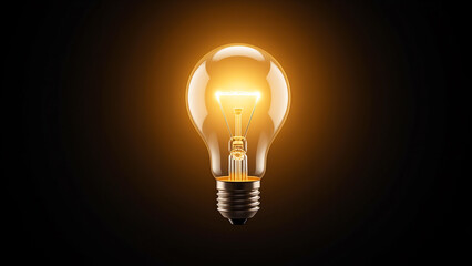 light bulb on a black background, providing a stark contrast between the two colors. The light bulb is the main focus of the image, with the dark background providing a dramatic backdrop.