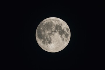 Fototapeta premium Luminous full moon illuminating the night sky