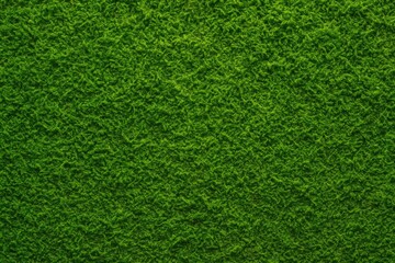 Lush green moss texture showcasing natural beauty