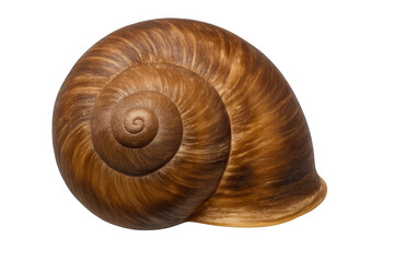 Close-up of a brown snail shell revealing its intricate spiral pattern against a transparent background