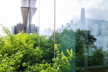 Green plants outside the office building