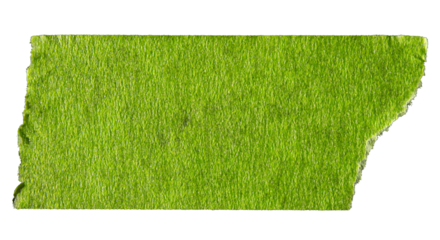 Green adhesive torn paper masking tape isolated on white background