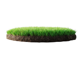 Lush green grass patch cutout transparent background png ideal for nature designs and graphic projects