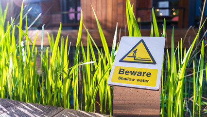Shallow water warning sign beside decking and ornamental grasses