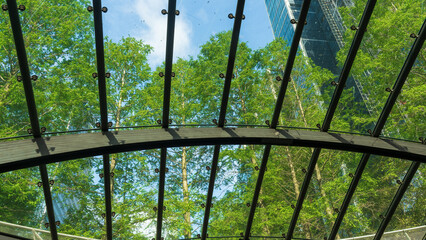 Looking up through glass canopy to trees and modern buildings in London