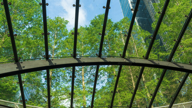 Looking up through glass canopy to trees and modern buildings in London - Powered by Adobe