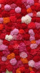 Colorful pom-pom tapestry unfurls, evoking vibrant Holi celebrations, tactile joy, and a whimsical carnival of textured whimsy