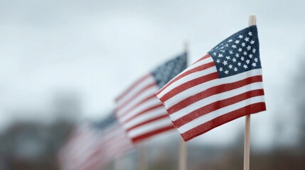 Obraz premium Small American flags ripple wistfully against muted skies, evoking Independence Day nostalgia and Presidents' Day reverence, patriotic flutter whispering freedom