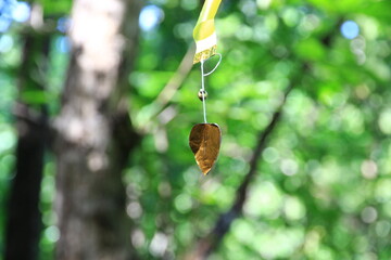 A golden heart-shaped paper mobile with a green bokeh background.
