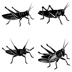Four black grasshopper illustrations in various poses on a white background showcase insects