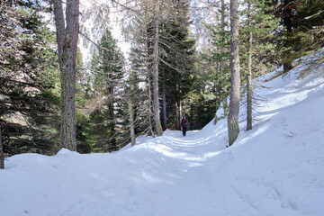 March 2025: Scenic view of snow covered mountains against sky, Fassa Valley.