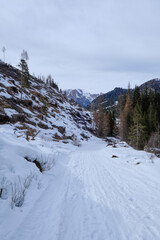 March 2025: winter landscape at Ski Area in Dolomites, Italy - Alpe Lusia. Ski resort in val di Fassa near Moena. Winter Dolomites and blue sky. Aerial view on ski slopes