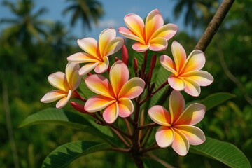 Fototapeta premium Exquisite floral showcase from a tropical island paradise