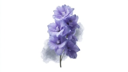 Lavender-hued delphinium blooms exude tranquility, perfect for Solstice celebrations and Japanese Hanami, symbolizing renewal and fleeting beauty