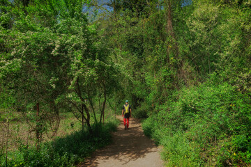 ruta