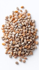 Fototapeta premium Rustic pearled barley spills like earthy treasure, invoking harvest feasts, cozy winter granaries, and ancient solstice celebrations