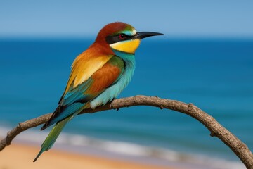 Fototapeta premium Colorful bird perched on a tree branch