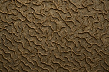 Decomposing earthworm remains in the natural environment