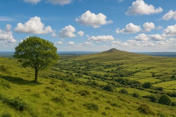 Obraz premium Scenic view of Dartmoor's landscape close to Princetown