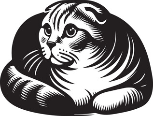 Scottish Fold Cat Vector in black and white