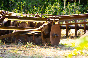 Rusted Agricultural Disc Harrow in Overgrown Field