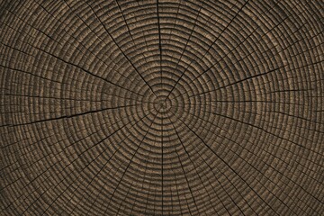 Vintage woodcut background texture