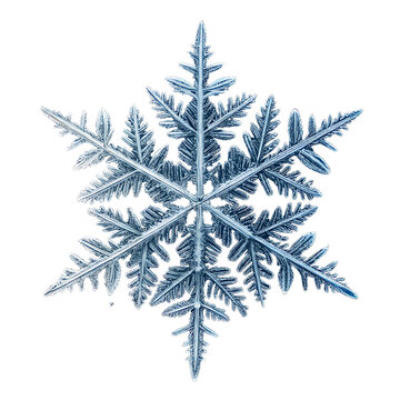 Details snowflake isolated on transparent background. 