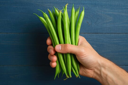 A new perspective on a fresh haricot