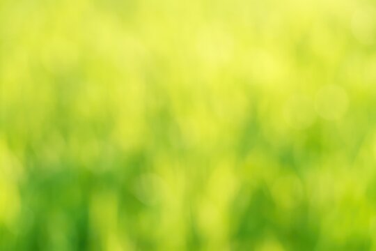A collection of images featuring soft, abstract backgrounds with gentle lighting effects