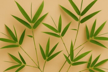 Fototapeta premium Detailed view of bamboo branches against a beige backdrop