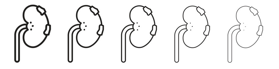 Kidney disease iconBlack linear bold and thin strokes set