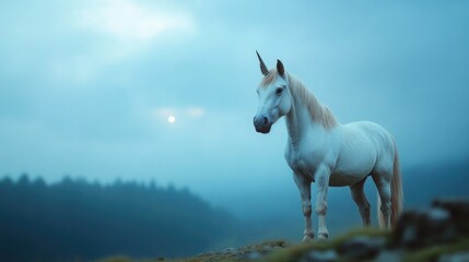 Naklejka premium Majestic white horse misty mountaintop