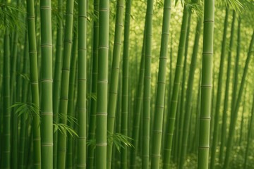 The versatility of bamboo in sustainable design