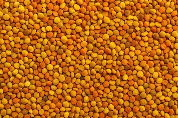 Extensive Collection of Bee Pollen Granules Texture