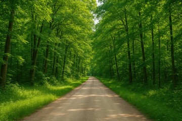 Fototapeta premium A tranquil rural path weaving through a lush summer woodland