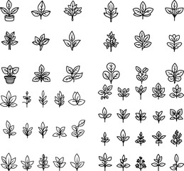 herb icons plant healthy food fresh garden gardening organic herb design herbal nature herb symbol plant-based spice medicinal plant aromatic farm agriculture herb plant farm produce