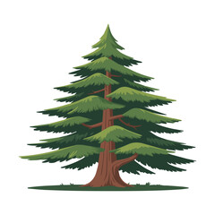 Fototapeta premium Cedar Tree Illustration with Dense Green Foliage and Brown Trunk