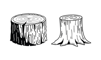 Wooden logs texture. Wood concepts graphics, lumber top view. Vintage outline trees structure vector