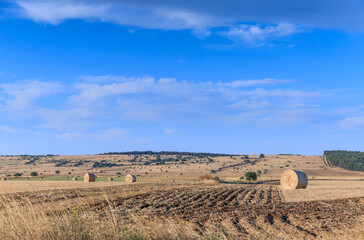 Rural landscape: straw bale in harvested corn fields in Apulia region, Italy. View of Alta Murgia...
