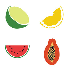 colorful fruit slice vector