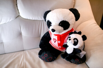 Panda plush toys on soft couch. Two panda plush toys are positioned together on a cozy cream couch,...