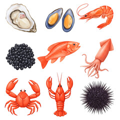 Assortment of Seafood on White Background