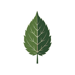 Green leaf illustration on white, with space for text